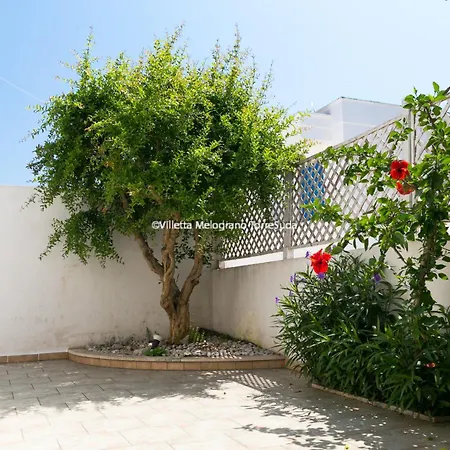 Melograno Con Patio 6pax, 200m Dal Mare *